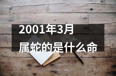 2001年3月属蛇的是什么命