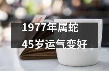 1977年属蛇45岁运气变好