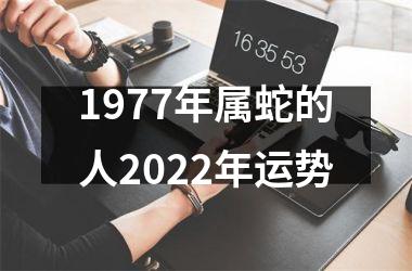 <h3>1977年属蛇的人2025年运势