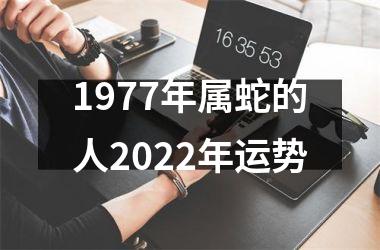 1977年属蛇的人2022年运势