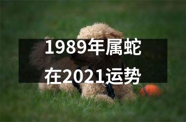 1989年属蛇在2025运势