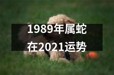 1989年属蛇在2021运势