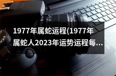 <h3>1977年属蛇运程(1977年属蛇人2025年运势运程每月运程)