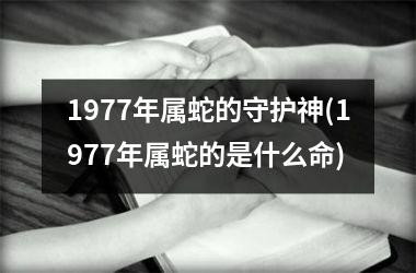 1977年属蛇的守护神(1977年属蛇的是什么命)