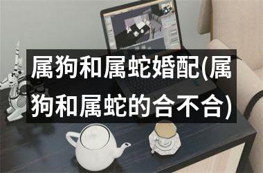 属狗和属蛇婚配(属狗和属蛇的合不合)