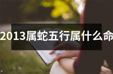 <h3>2013属蛇五行属什么命