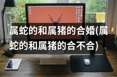 属蛇的和属猪的合婚(属蛇的和属猪的合不合)