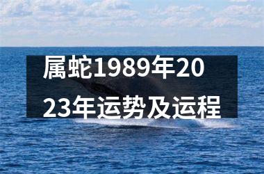 属蛇1989年2025年运势及运程