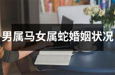 男属马女属蛇婚姻状况
