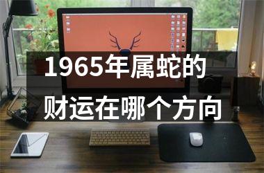 1965年属蛇的财运在哪个方向