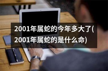 2001年属蛇的今年多大了(2001年属蛇的是什么命)