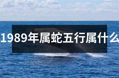 1989年属蛇五行属什么