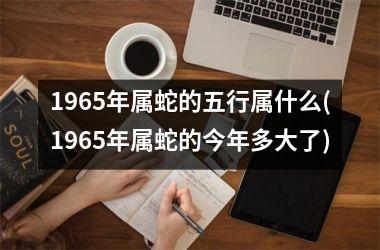 1965年属蛇的五行属什么(1965年属蛇的今年多大了)