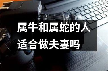 属牛和属蛇的人适合做夫妻吗