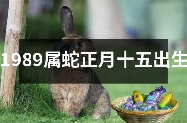 <h3>1989属蛇正月十五出生