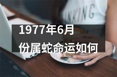 1977年6月份属蛇命运如何