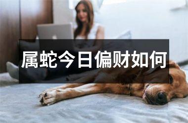 属蛇今日偏财如何