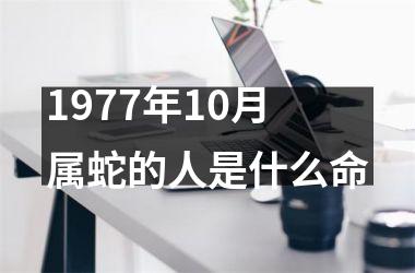 <h3>1977年10月属蛇的人是什么命