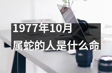 1977年10月属蛇的人是什么命