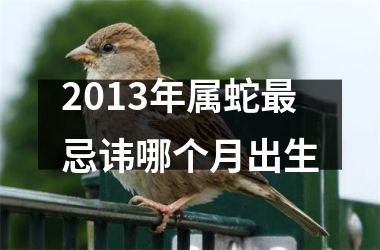 2013年属蛇最忌讳哪个月出生