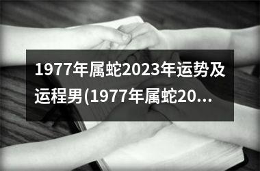 1977年属蛇2025年运势及运程男(1977年属蛇2025年运势及运程每月运程)
