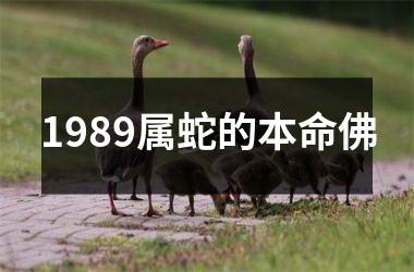 1989属蛇的本命佛