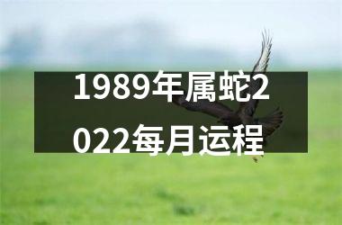 1989年属蛇2022每月运程