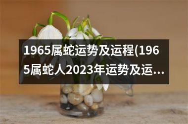 1965属蛇运势及运程(1965属蛇人2023年运势及运程)