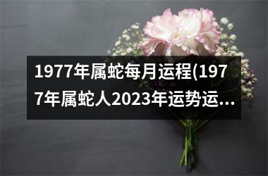 1977年属蛇每月运程(1977年属蛇人2025年运势运程每月运程)