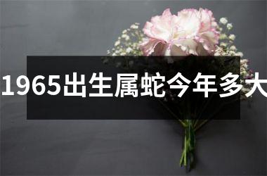 <h3>1965出生属蛇今年多大
