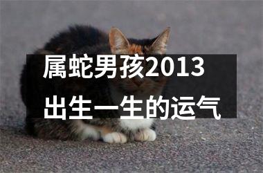 <h3>属蛇男孩2013出生一生的运气