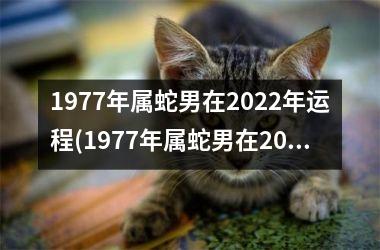 1977年属蛇男在2022年运程(1977年属蛇男在2023年运程和运势)