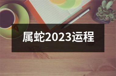 属蛇2023运程