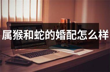 <h3>属猴和蛇的婚配怎么样