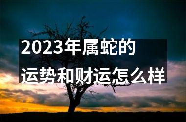 2023年属蛇的运势和财运怎么样