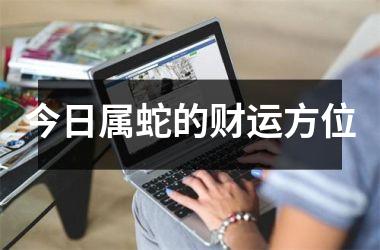 <h3>今日属蛇的财运方位