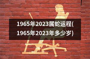 <h3>1965年2025属蛇运程(1965年2025年多少岁)