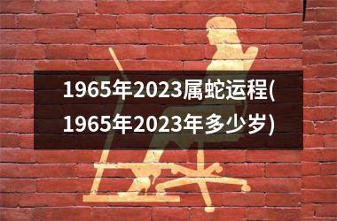 1965年2023属蛇运程(1965年2023年多少岁)