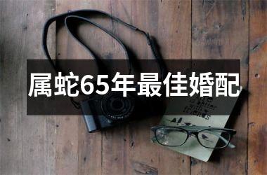 <h3>属蛇65年最佳婚配