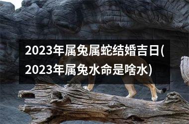 2023年属兔属蛇结婚吉日(2023年属兔水命是啥水)