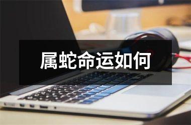 <h3>属蛇命运如何
