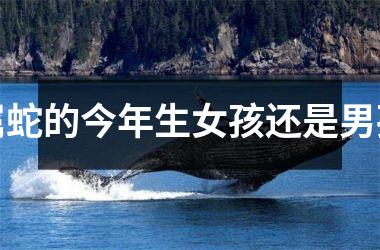 属蛇的今年生女孩还是男孩