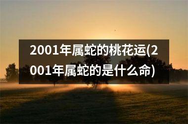 2001年属蛇的桃花运(2001年属蛇的是什么命)