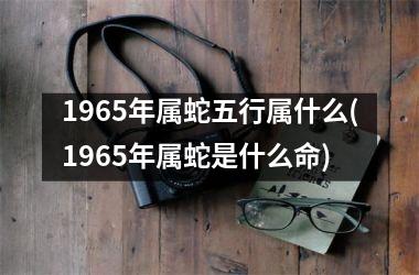 <h3>1965年属蛇五行属什么(1965年属蛇是什么命)