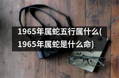 1965年属蛇五行属什么(1965年属蛇是什么命)