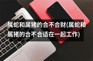 <h3>属蛇和属猪的合不合财(属蛇和属猪的合不合适在一起工作)