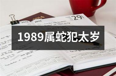 1989属蛇犯太岁