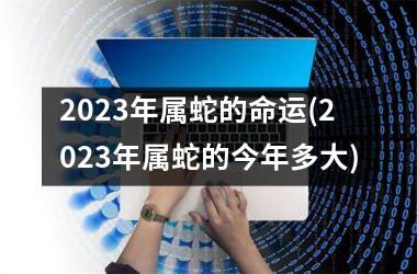 <h3>2023年属蛇的命运(2023年属蛇的今年多大)