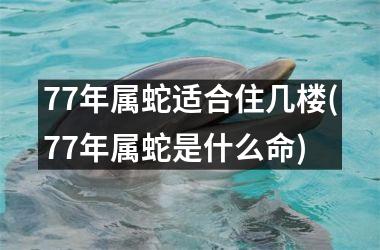77年属蛇适合住几楼(77年属蛇是什么命)