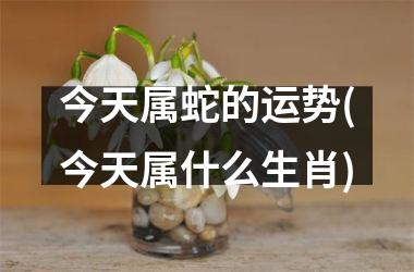 <h3>今天属蛇的运势(今天属什么生肖)